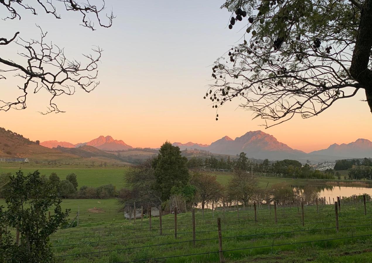 Wildlife Retreat On A Wine-Farm Villa Stellenbosch Exterior foto