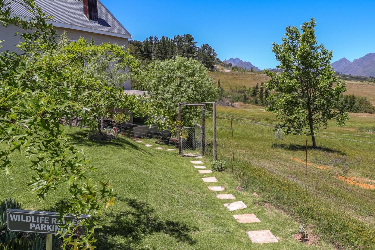 Wildlife Retreat On A Wine-Farm Villa Stellenbosch Exterior foto