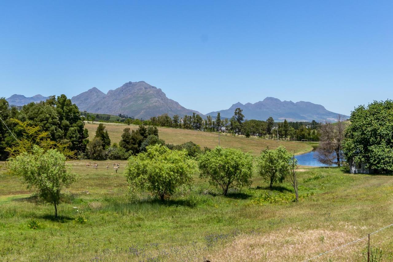 Wildlife Retreat On A Wine-Farm Villa Stellenbosch Exterior foto